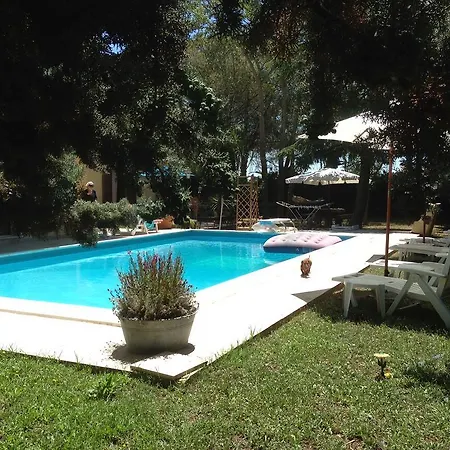 Rollo Garden *