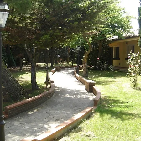 Rollo Garden *