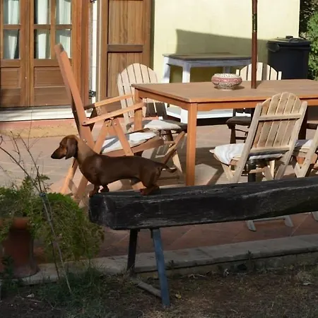 Rollo Garden * Ragusa