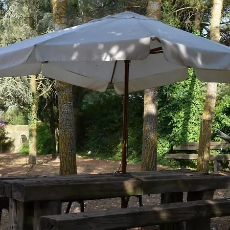 Bed & Breakfast Rollo Garden