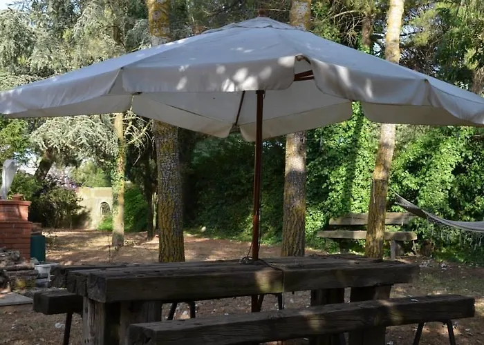 Bed & Breakfast Rollo Garden